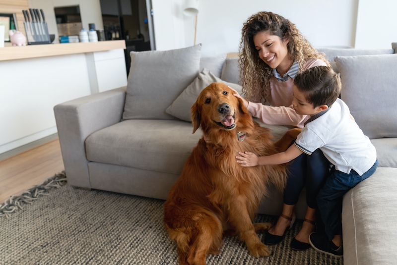 Portrait of a happy mother and son at home petting their dog and smiling – lifestyle concepts